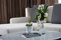 Live Aqua Boutique Resort Playa Del Carmen